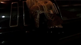 Длинноволосая блондинка жестко выебана в автомобиле