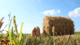 Сельский анальный секс посреди огромного пшеничного поля