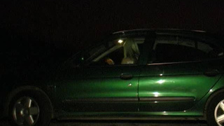 Блондинка шлюха трахается с клиентом в машине